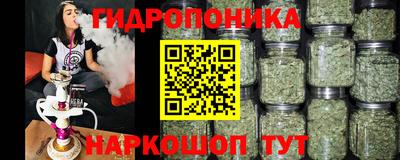Альфа ПВП Будённовск