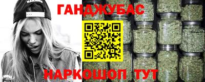 Альфа ПВП Будённовск
