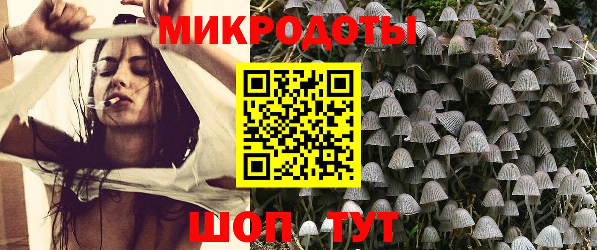 Галлюциногенные грибы Cubensis Краснознаменск
